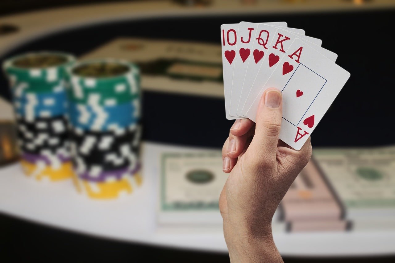 VIP Club connection with sports and casino-style sections